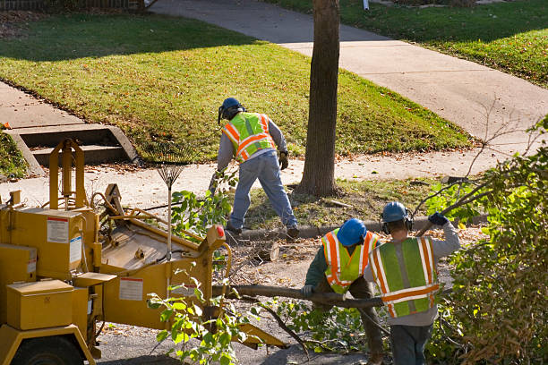 Best Tree Risk Assessment  in Blplay, AL